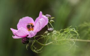 VIOの黒ずみを消す方法は医師監修のコスメで解決できる？