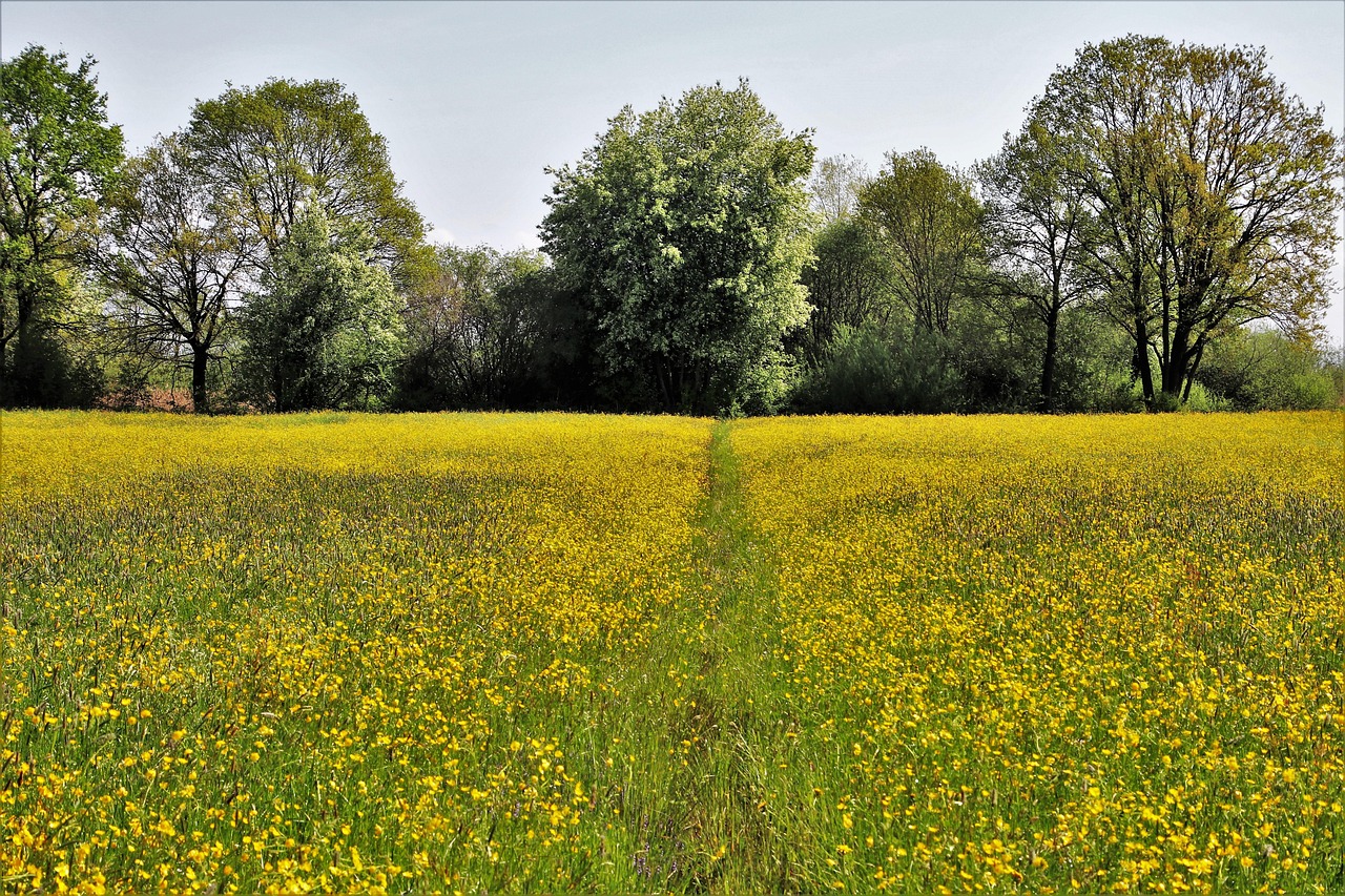 VIOの黒ずみを本当に消す方法まとめは？