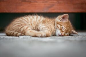 VIOの黒ずみは睡眠不足で悪化するのか？