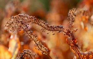 VIOの黒ずみや乾燥肌を改善するための効果的な方法は？